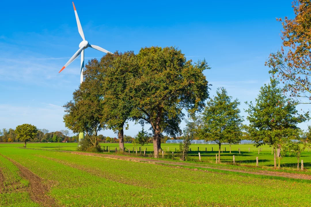 Eine Windkraftanlage steht auf einer grünen Wiese mit Baumreihen unter einem klaren blauen Himmel und symbolisiert eine nachhaltige Lösung für die Energieversorgung.