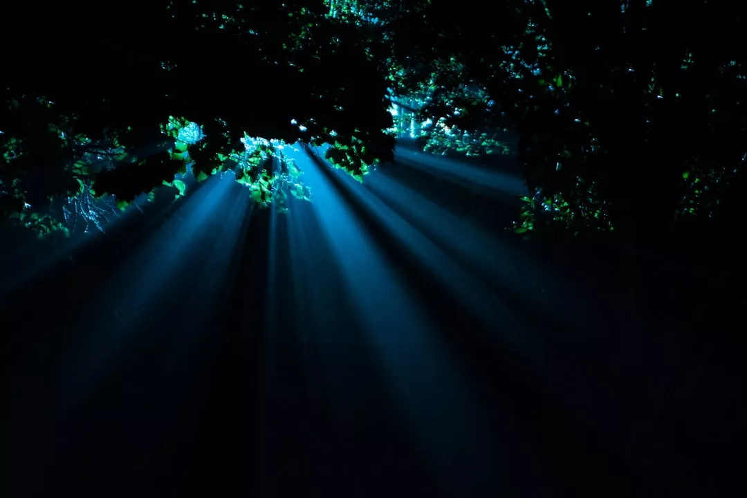 Das blau gefärbte Sonnenlicht strömt durch die dichten Äste der Bäume und erzeugt Licht- und Schattenspiele in einem dunklen Waldgebiet - eine ruhige Umgebung, die an eine spirituelle Transformation erinnert.