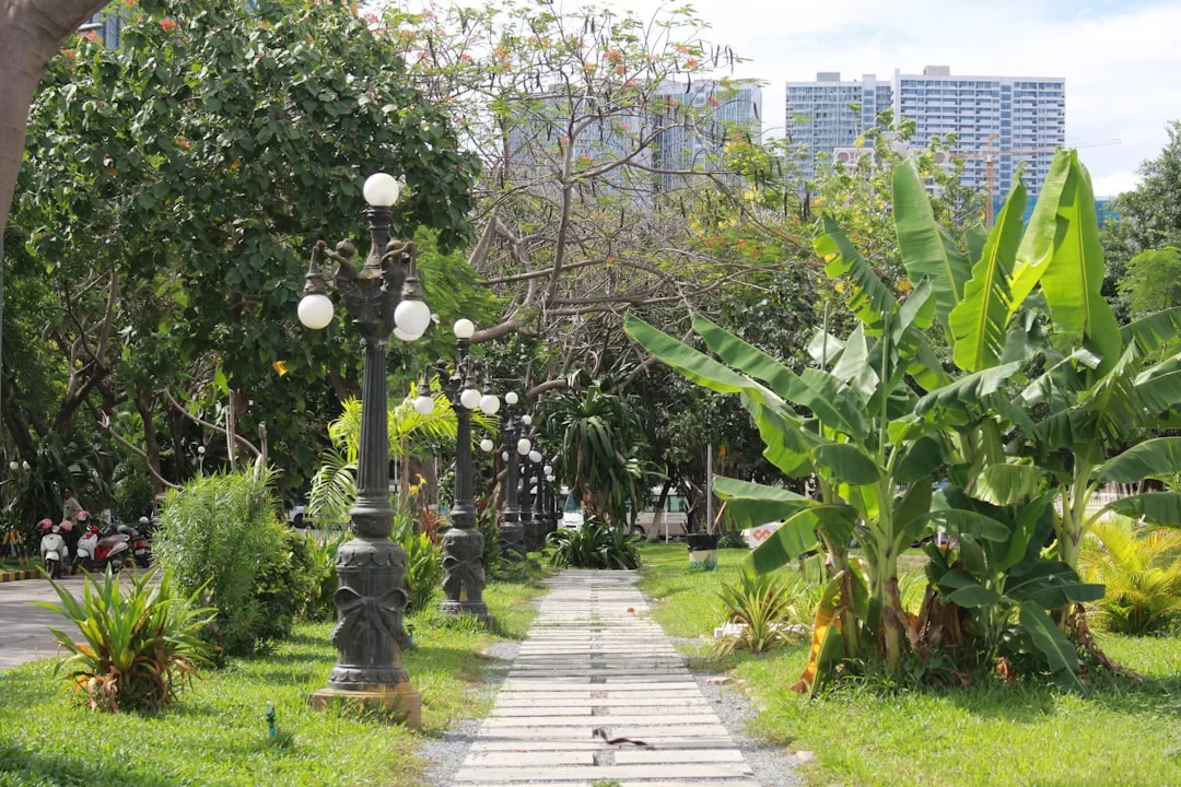 Ein mit Laternenpfählen gesäumter Steinweg schlängelt sich durch die grünen Stadtgärten, in denen Bananenstauden und andere Pflanzen gedeihen und den sozialen Wert dieser Parks inmitten hoher städtischer Gebäude im Hintergrund unterstreichen.