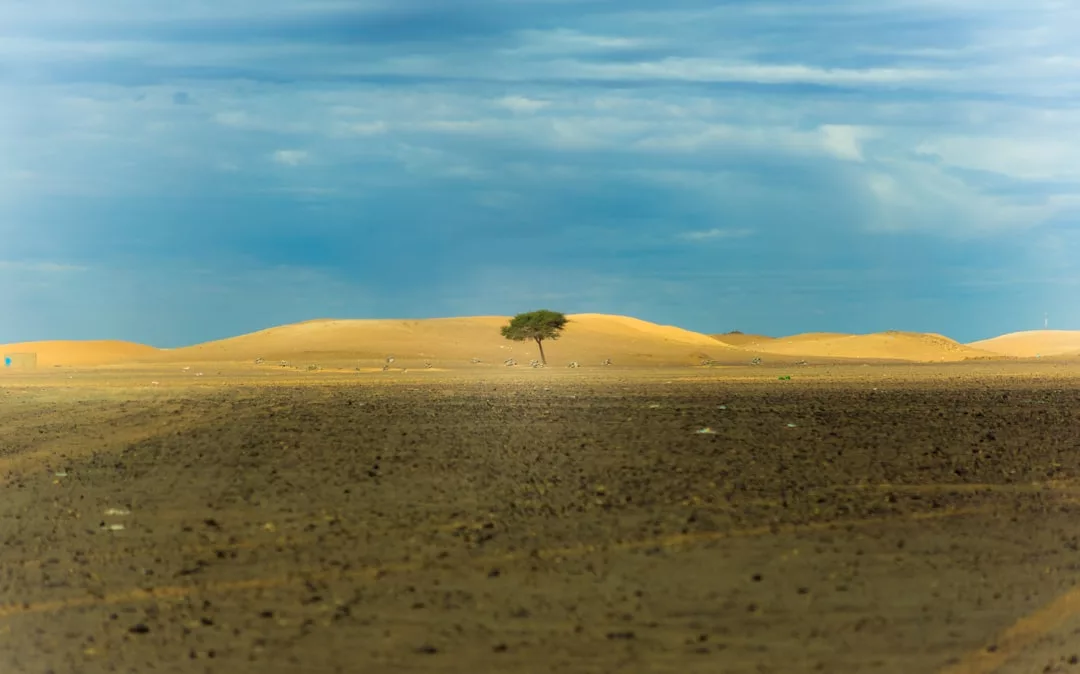 Ein einzelner Baum steht inmitten einer kargen Wüstenlandschaft und symbolisiert Resilienz inmitten von Sanddünen und einem bewölkten blauen Himmel im Hintergrund.