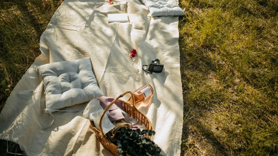 Ein Picknick auf einer beigen Outdoor-Teppiche mit zwei Kissen, einem Fotoapparat, einem Buch, einer Rose, einem Korb und einer Flasche auf Gartengras im Sonnenlicht.