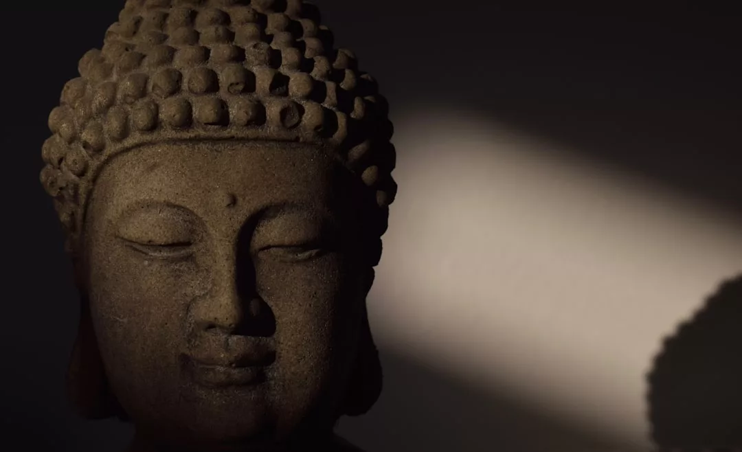 Nahaufnahme des Gesichts einer Buddha-Statue, die teilweise von einem diagonalen Lichtstrahl beleuchtet wird, während der Hintergrund im Schatten liegt - eine heitere Szene, die die Grundlagen des Buddhismus widerspiegelt und sich perfekt für eine Einführung eignet.