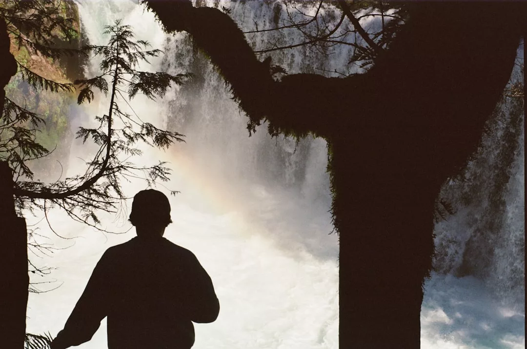 Eine Person steht in der Nähe von zwei Bäumen, die sich vor einem großen Wasserfall mit Nebel und einem schwachen Regenbogen im Hintergrund abzeichnen und an die Gelassenheit erinnern, die oft durch spirituelles Coaching gefördert wird.