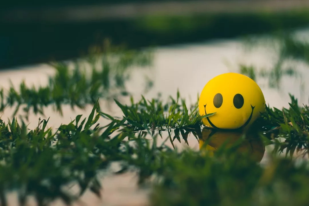 Ein gelber Smiley-Ball ruht auf nassem Gras mit Wasserpfützen um ihn herum und symbolisiert positives Denken und Erfolgserlebnisse auch an trüben Tagen.
