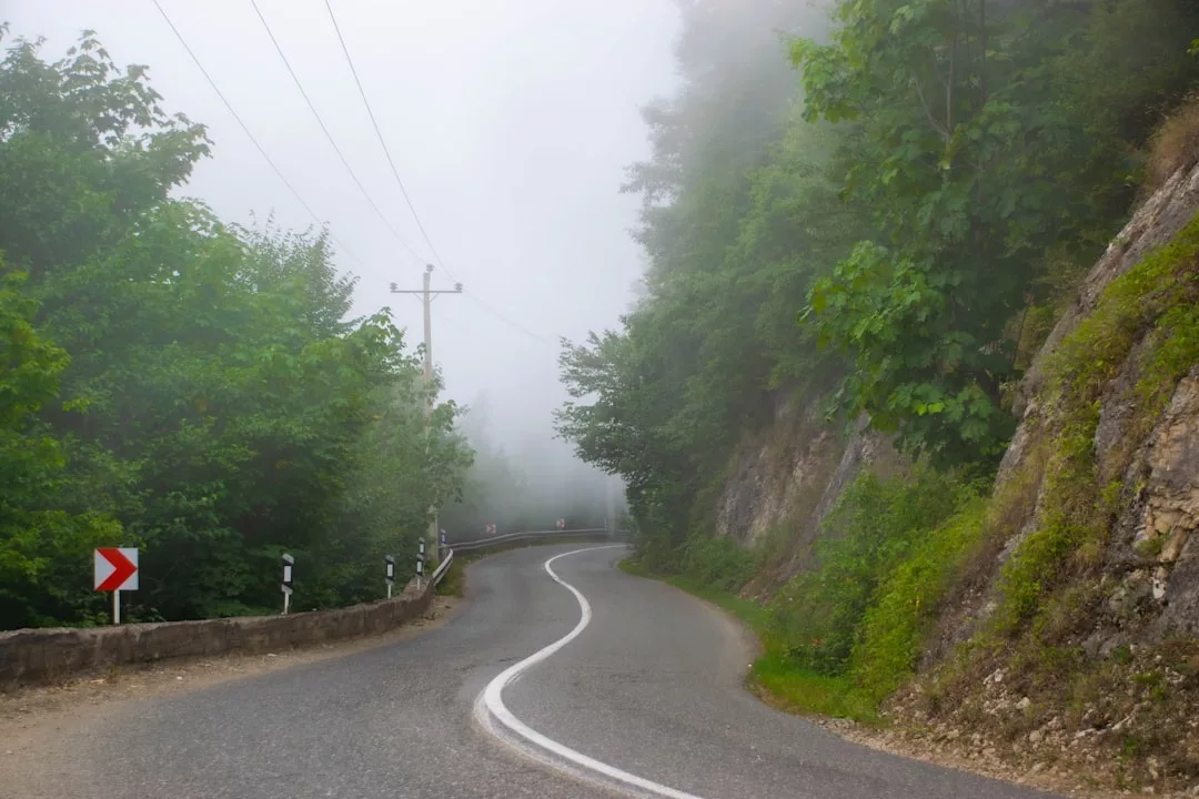 Eine kurvenreiche, gepflasterte Straße schlängelt sich an einem nebligen Tag durch dichtes Grün und über Hügel, wobei Straßenschilder und Stromleitungen sichtbar sind - perfekt für Roadtrips durch Europa auf der Suche nach atemberaubenden Landschaften.
