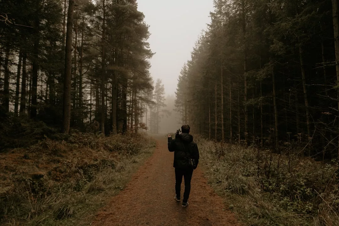 Eine Person geht allein auf einem unbefestigten Weg durch einen dichten, nebligen Wald entlang der Wanderwege Europa, umgeben von hohen Bäumen und atemberaubenden Landschaften auf beiden Seiten.