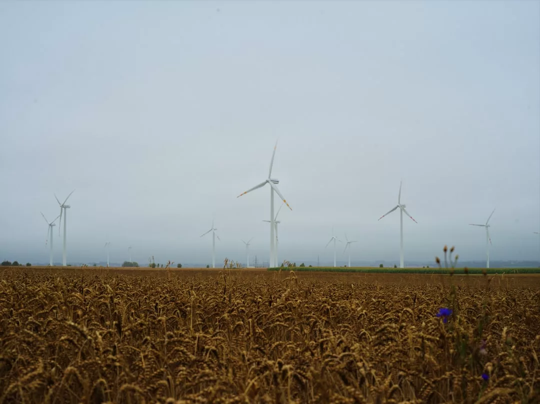 Ein Weizenfeld mit mehreren Windturbinen im Hintergrund unter einem bewölkten Himmel, der die Vorteile erneuerbarer Energie verdeutlicht.