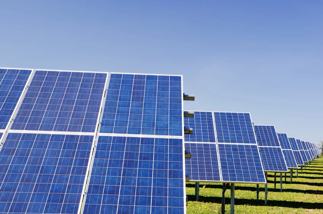 Reihen von Solarmodulen, die auf einer Wiese unter blauem Himmel installiert sind, zeigen die Vorteile erneuerbarer Energien.