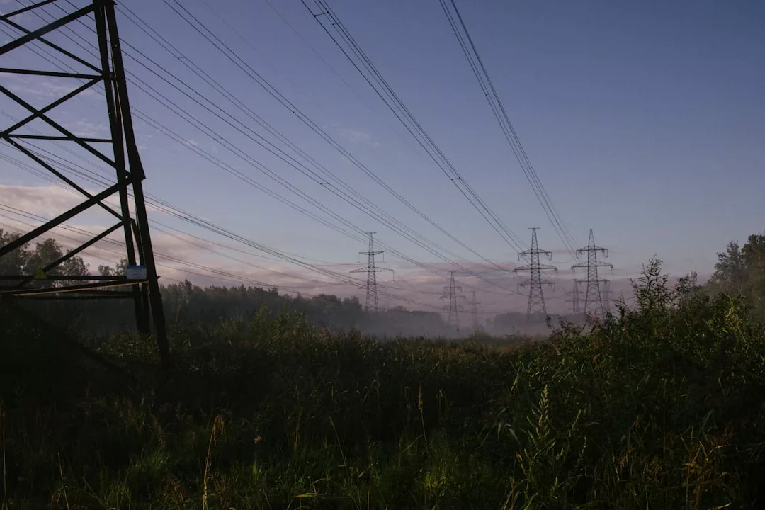 Hochspannungsleitungen und -masten ziehen sich durch eine grasbewachsene Landschaft und symbolisieren die Zukunft der Energieproduktion inmitten von Bäumen und einem klaren Himmel.