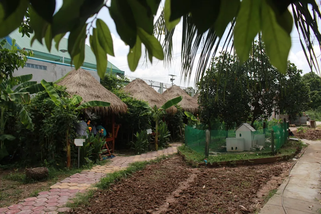 Ein Garten mit strohgedeckten Hütten, einem Steinweg, Grünpflanzen, einem eingezäunten Bereich und einem gepflügten Fleck Erde unter belaubten Ästen - perfekt für DIY-Projekte Garten und kreative Ideen zum Selbermachen.