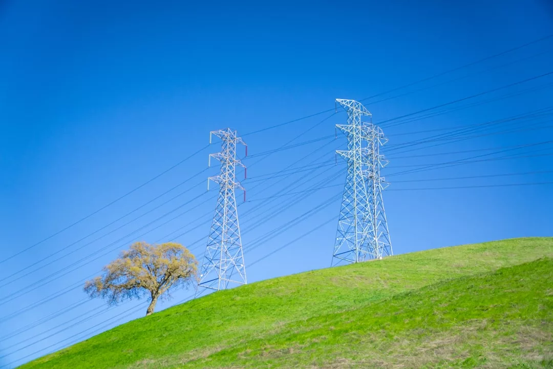 Zwei Strommasten stehen auf einem grasbewachsenen Hügel unter strahlend blauem Himmel und symbolisieren effektives Energiemanagement für Unternehmen, während ein einzelner Baum in der Nähe steht.