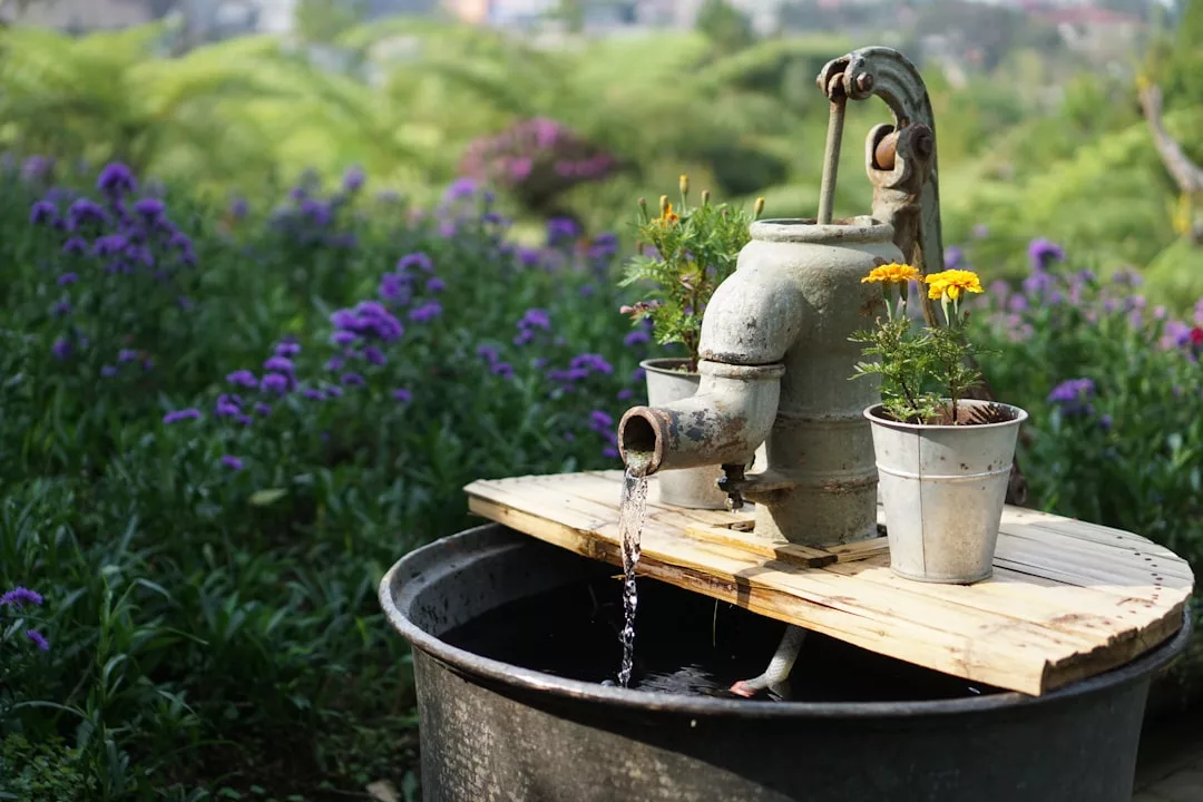 Eine alte Metallwasserpumpe mit zwei kleinen Blumentöpfen steht über einem Becken, umgeben von Grünpflanzen und lila Blumen in einem effizienten Garten im Freien.