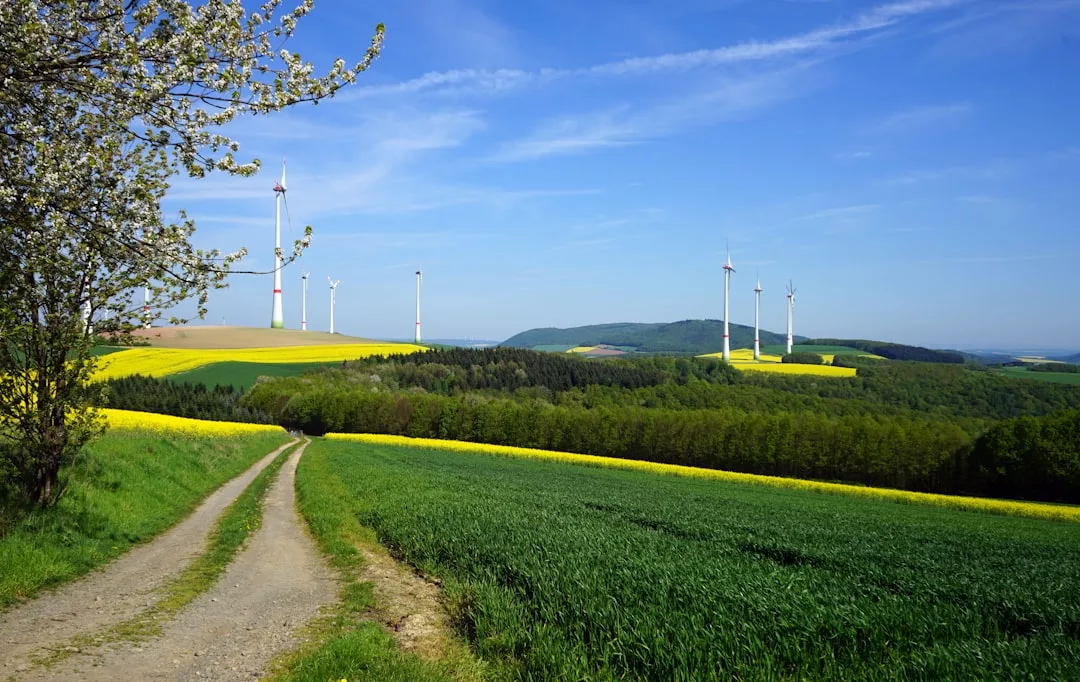 Ein unbefestigter Weg schlängelt sich durch grüne Felder und gelbe Pflanzen zu weit entfernten Windturbinen, die nachhaltige Lösungen für die Energieerzeugung symbolisieren, eingerahmt von sanften Hügeln, einem einzelnen Baum und einem strahlend blauen Himmel.