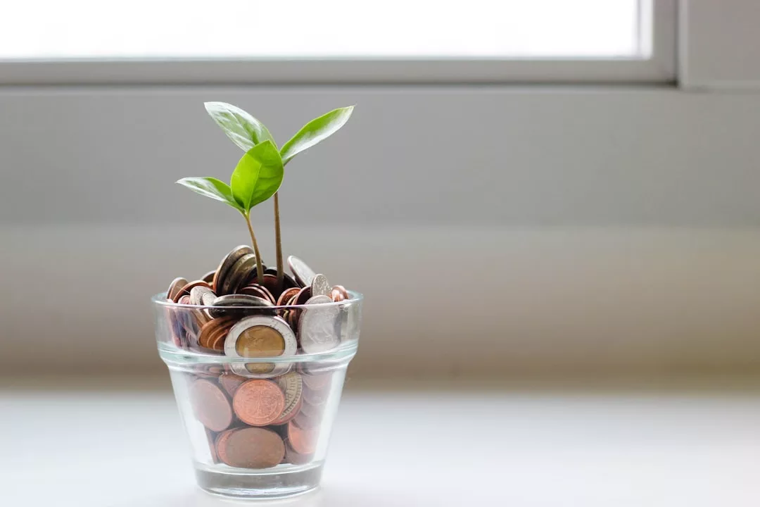 Aus einem mit verschiedenen Münzen gefüllten Glas wächst eine kleine grüne Pflanze, die finanziellen Erfolg und Wachstum in Richtung finanzieller Ziele symbolisiert und auf einer weißen Fläche unter einem Fenster steht.