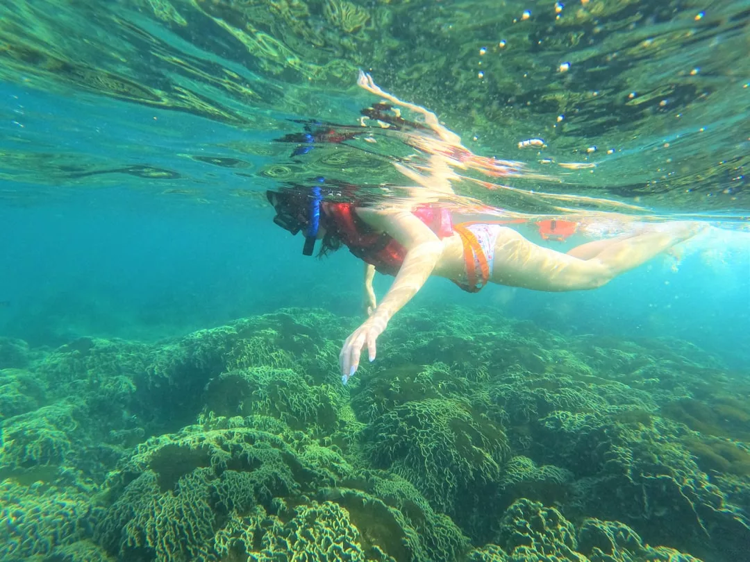 Eine Person, die eine Schnorchelausrüstung trägt, schwimmt im klaren blauen Wasser über Korallenriffe und genießt gemeinsame Aktivitäten, die die Beziehungen stärken.