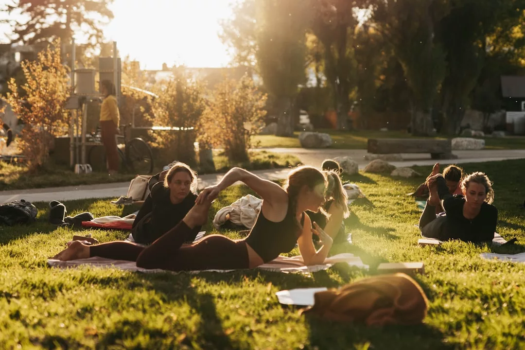 Menschen, die während des Sonnenuntergangs auf einer Wiese Yoga praktizieren und sich der Holistischen Heilung hingeben, während sich einige dehnen und andere auf Matten entspannen.