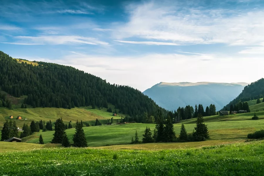 Sanfte grüne Hügel mit verstreuten Bäumen und kleinen Häusern, im Hintergrund dichte Wälder und Berge unter einem teilweise bewölkten blauen Himmel - perfekt, um köstliche Rezepte zu entdecken oder ein Picknick mit glutenfreien Rezepten zu genießen.