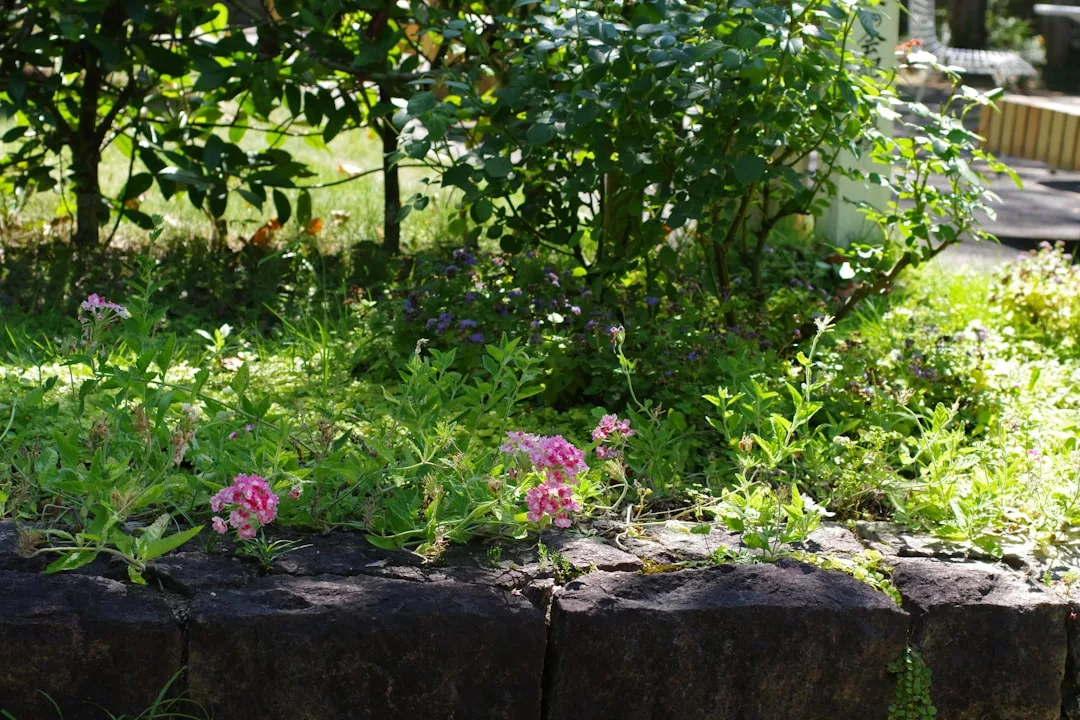 Ein mit dunklen Steinen eingefasstes Gartenbeet mit grünem Laub, rosafarbenen Blumen und violetten Blüten im Sonnenlicht - die perfekte Inspiration für alle, die Kräutergarten Ideen suchen.