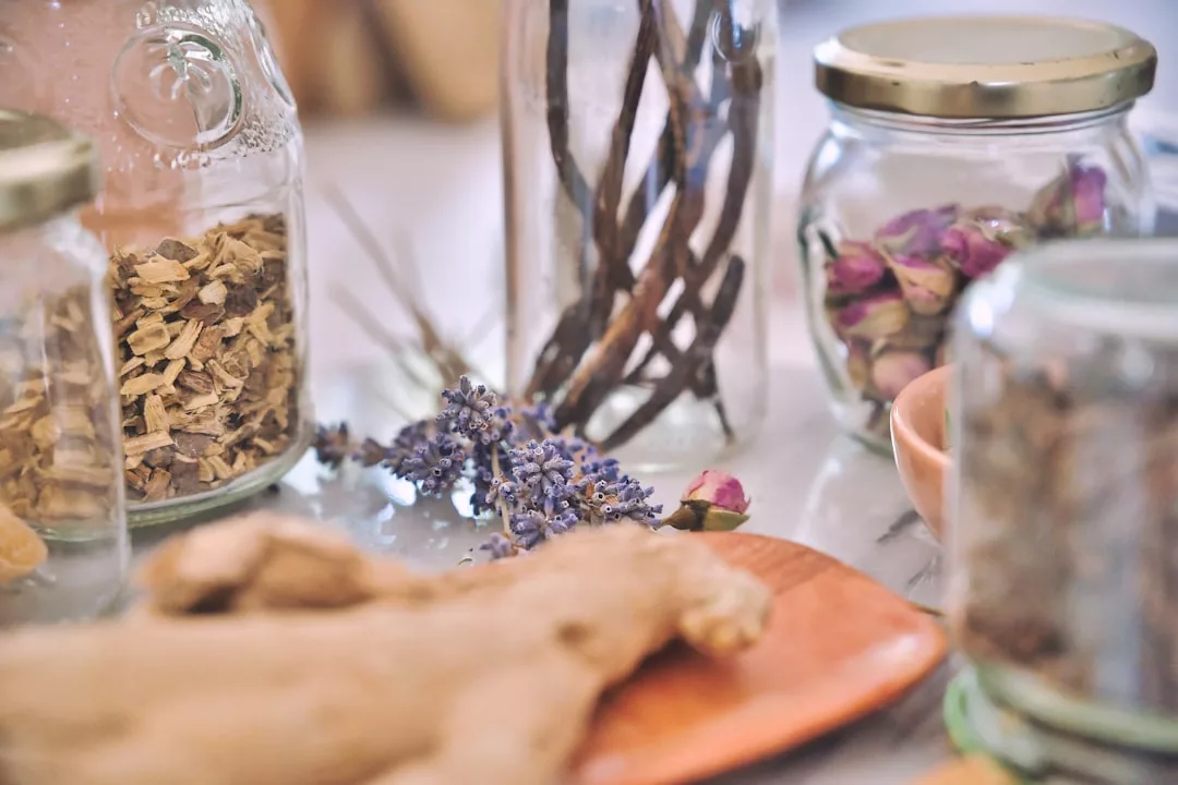 Auf einem Tisch stehen mit getrockneten Kräutern und Blumen gefüllte Gläser, Lavendelzweige und ein Stück Ingwer - genau das Richtige für Liebhaber von Heilpflanzen und Kräuterkunde.