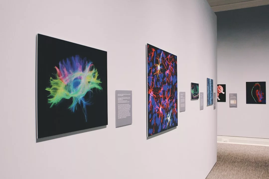 Eine Reihe farbenfroher, abstrakter digitaler Kunstwerke - erstellt von Kreative mit Unterstützung durch Kunstförderprogramme - ist entlang einer weißen Galeriewand ausgestellt, mit beschreibenden Tafeln neben jedem Werk.