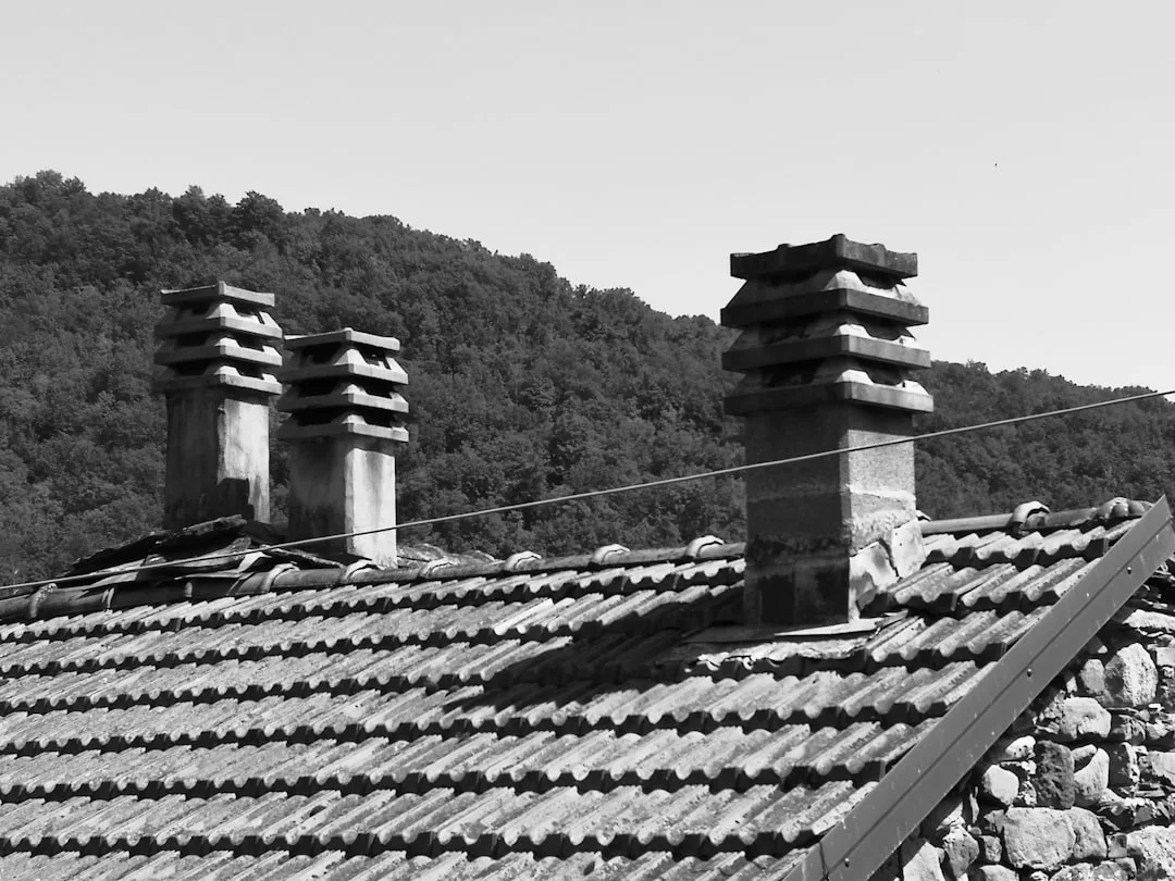 Schwarz-Weiß-Foto eines Ziegeldachs mit drei rechteckigen Schornsteinen vor baumbewachsenen Hügeln und einem klaren Himmel - ein Bild, das künstlerische Inspiration weckt und pure Kreativität zelebriert.