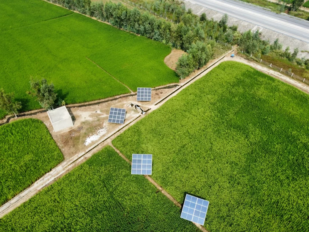 Luftaufnahme von Solarmodulen, die in grünen landwirtschaftlichen Feldern neben einer Straße installiert sind, mit Bäumen am Rand, die die positiven Auswirkungen von Solarenergie auf nachhaltige Landschaften zeigen.