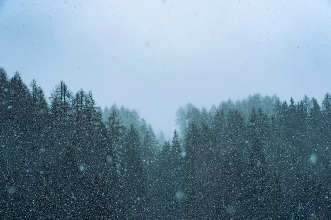 Schnee fällt über einen dichten Wald aus hohen Kiefern unter einem wolkenverhangenen Himmel und inspiriert zu Strategien zur Steigerung der Lebensfreude und zur Bekämpfung von Winterdepressionen.