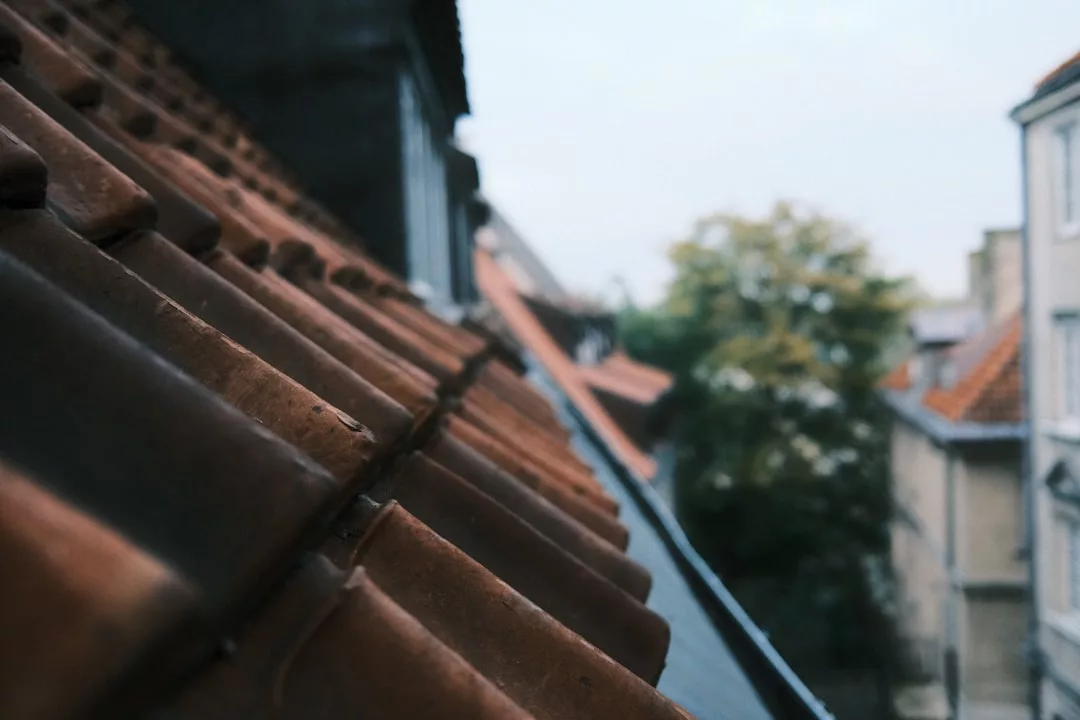 Nahaufnahme von roten Tondachziegeln auf einem schrägen Dach in Top-Zustand, mit einem unscharfen Hintergrund aus Gebäuden und Bäumen.