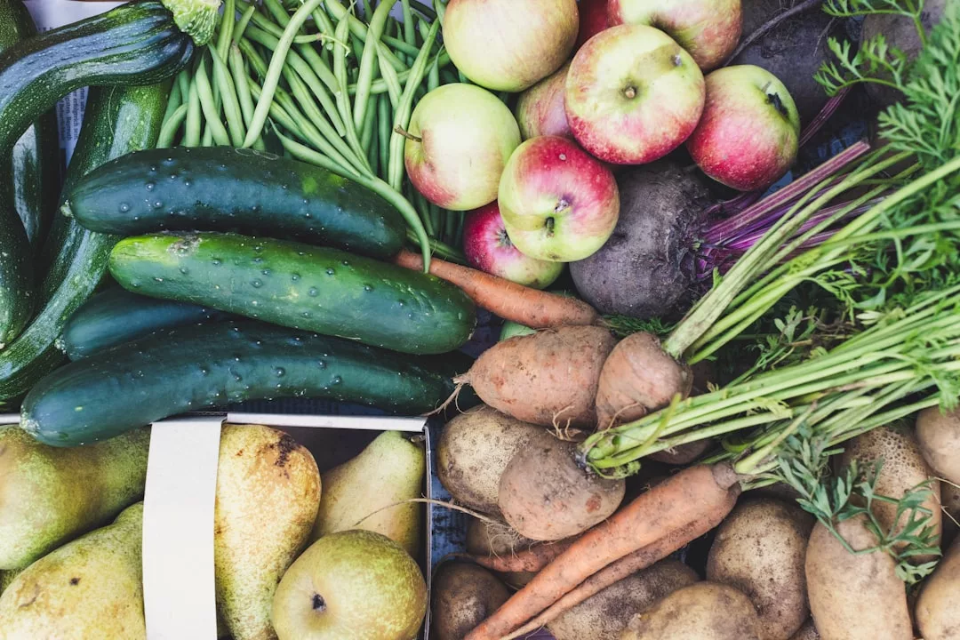 Frisches Gemüse und Obst wie Gurken, Zucchini, grüne Bohnen, Äpfel, Birnen, Karotten, Rote Beete und Kartoffeln zusammen arrangiert - perfekt für Umwelterziehung oder für alle Fans von Nachhaltigkeit und urbanem Gärtnern.