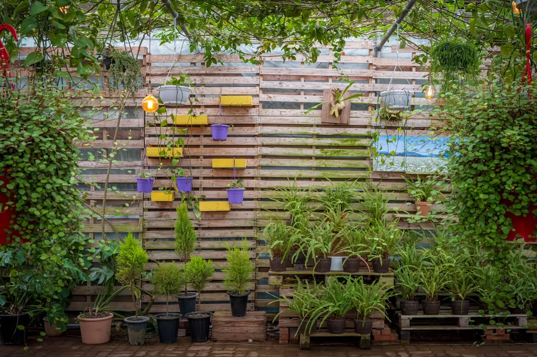 An einer Wand aus Holzpaletten stehen hängende Töpfe und Pflanzgefäße mit verschiedenen Grünpflanzen, die zeigen, wie Vertikale Gartenprojekte eine effektive Nutzung von Raum im Garten ermöglichen, und das alles unter einem Blätterdach in einer ruhigen Gartenumgebung.