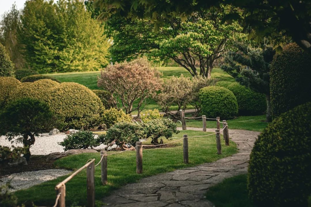 Ein steinerner Weg schlängelt sich durch einen Schattengarten mit gestutzten Sträuchern, kleinen Bäumen und saftig grünem Gras an einem hellen Tag.