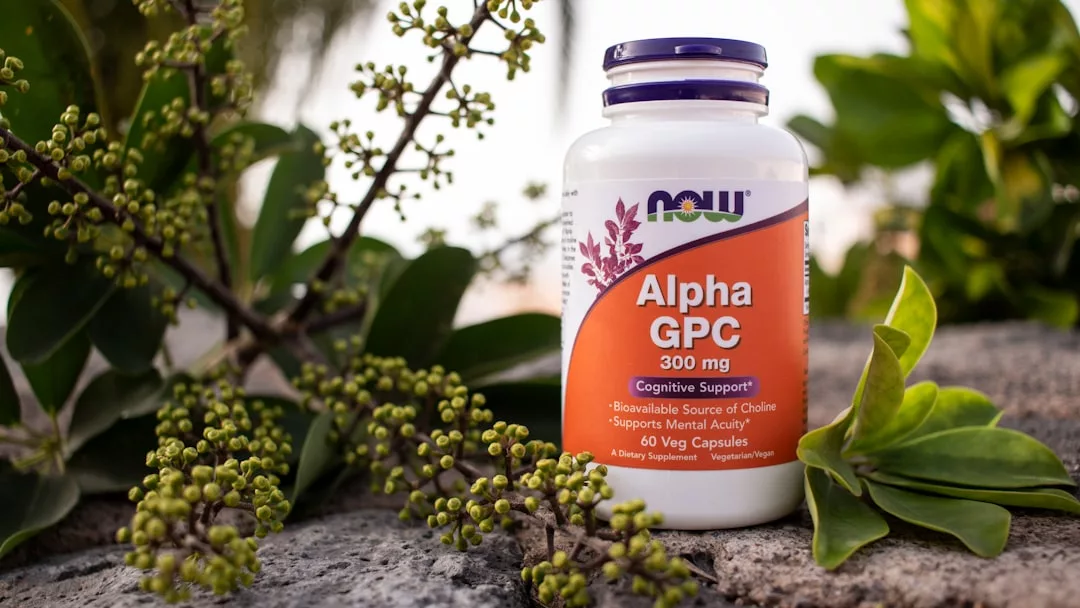 Eine Flasche Now Alpha GPC 300 mg Kapseln steht auf einer Steinfläche im Freien, umgeben von grünen Pflanzen und Ästen - ideal für alle, die Tipps und Strategien zur mentalen Stärke suchen.